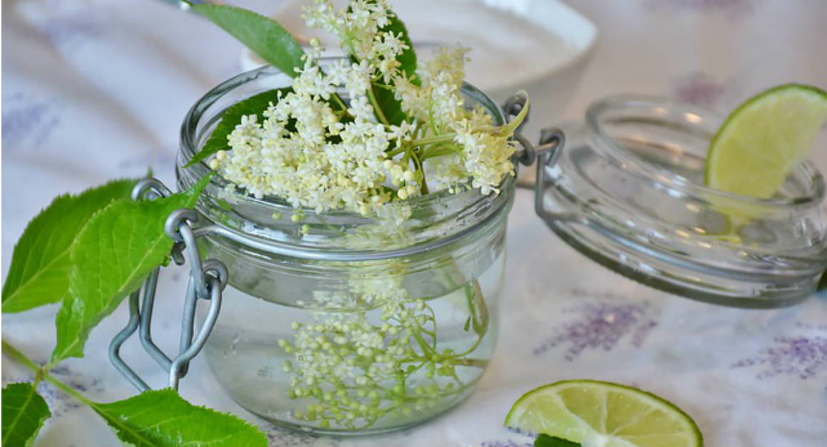  Melem od zove za blistavi izgled tvoje kože!