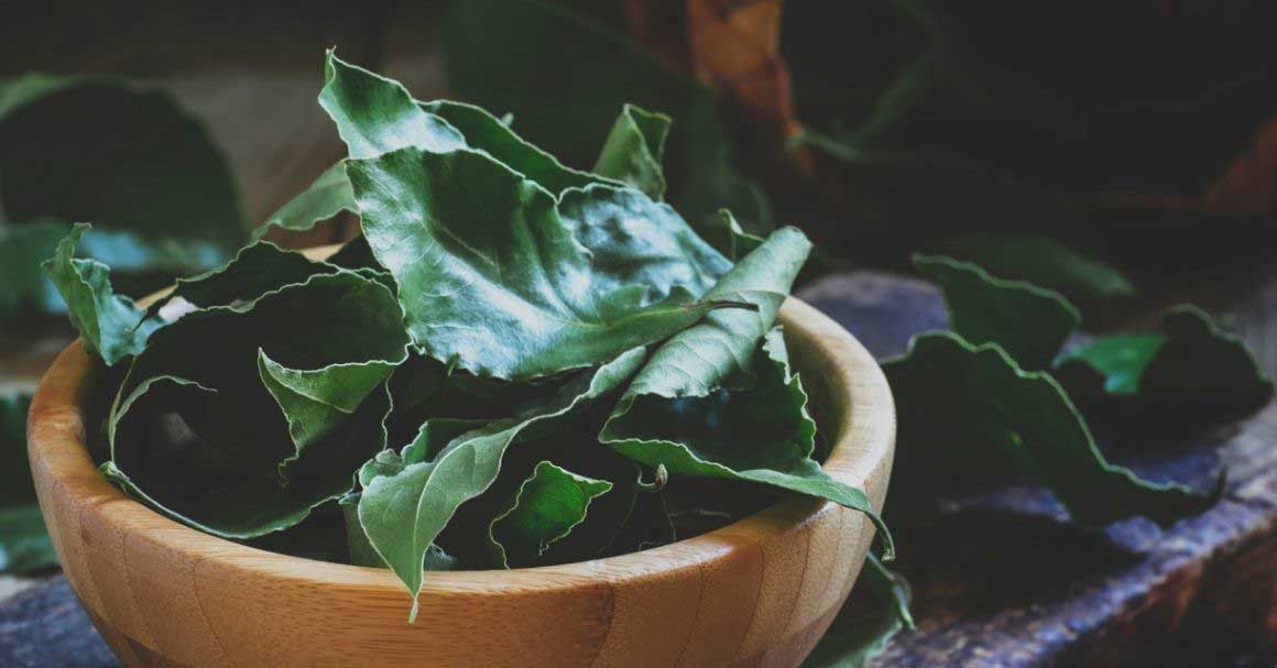  Lovorov list za akne je otkriće za tvoju kožu!