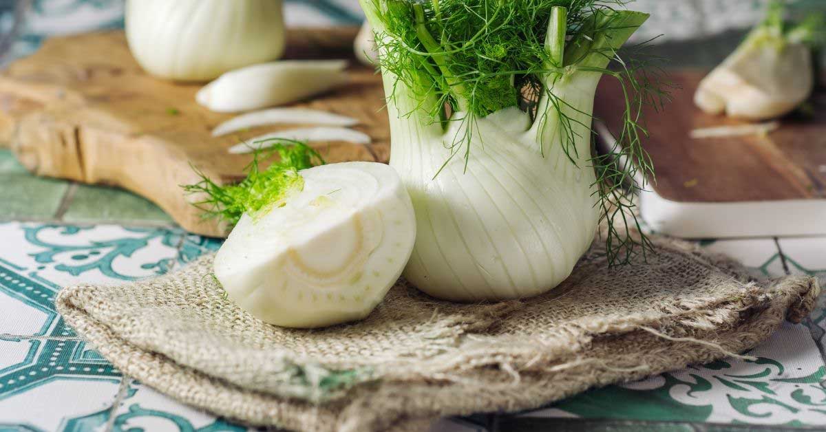 biljke od kojih rast grudi