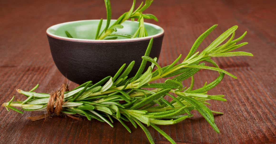  Ruzmarin kao lek za vene? Zabluda ili ipak ne?