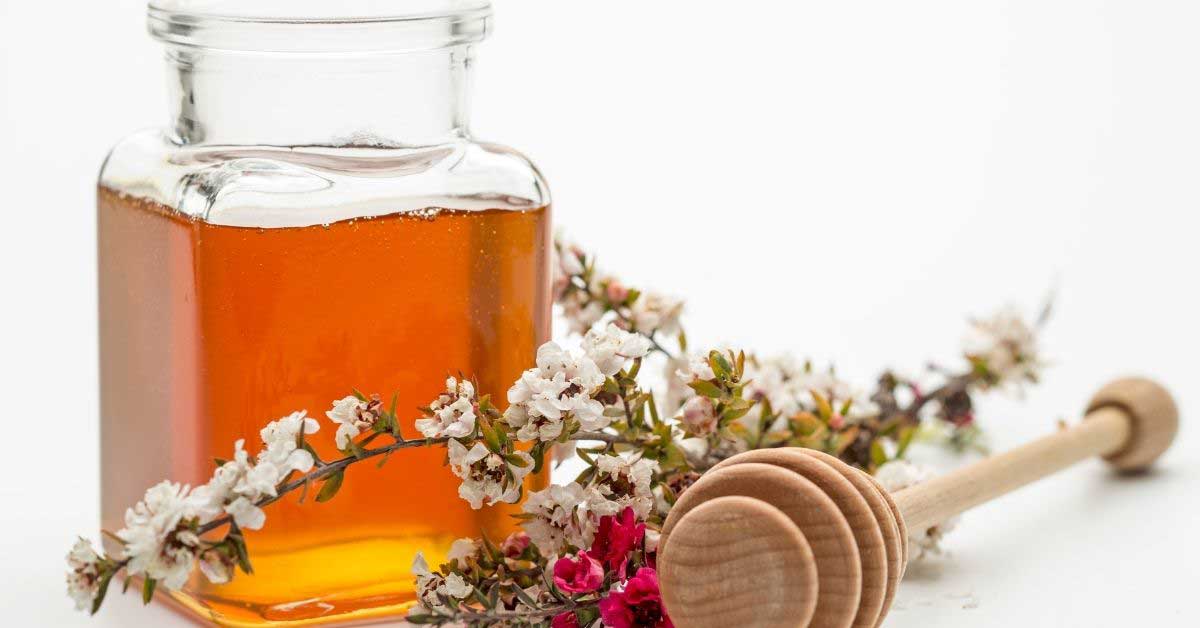 manuka med za strije