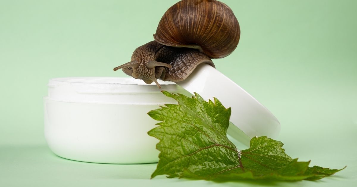 pužev gel za bubuljice