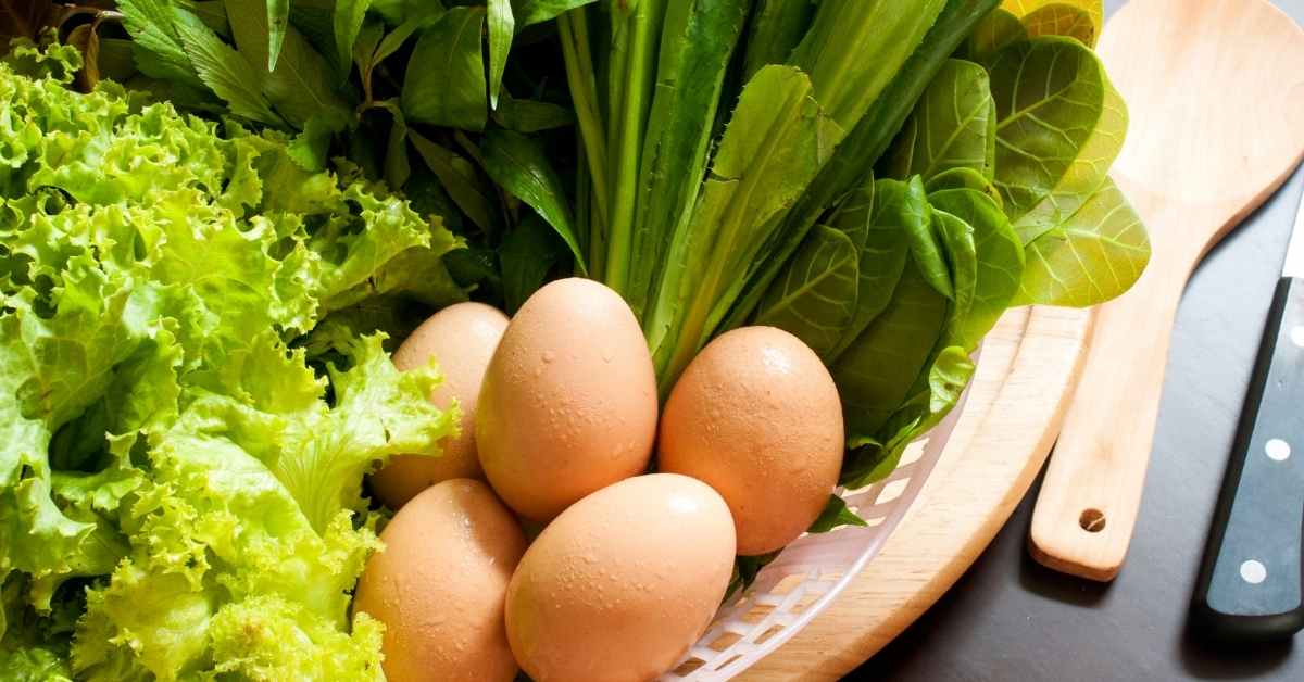  Moćna američka dijeta za mršavljenje!