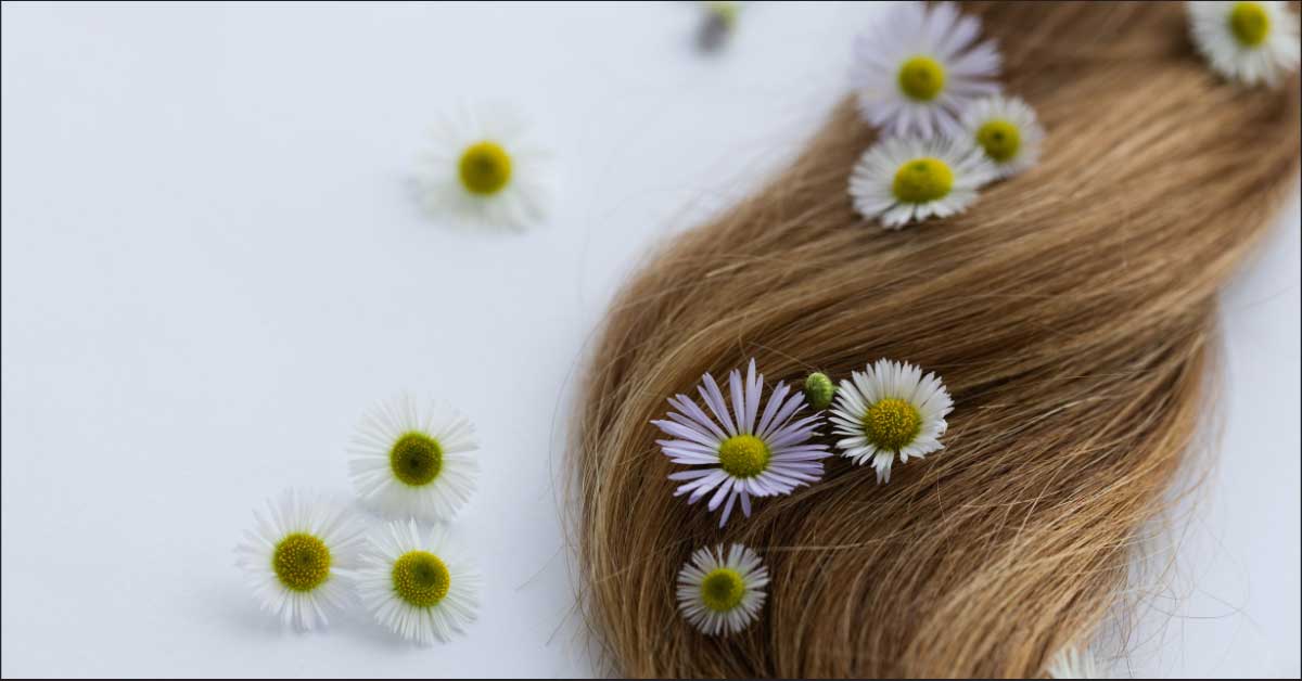  Kamilica za kosu: Zapanjujuća istina o njenom dejstvu!